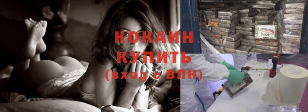 тгк Алзамай