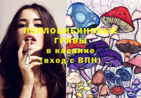 тгк Алзамай