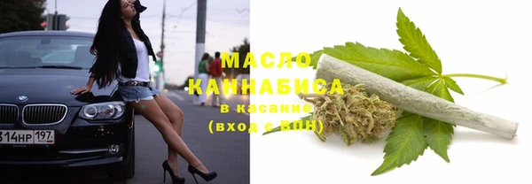 тгк Алзамай