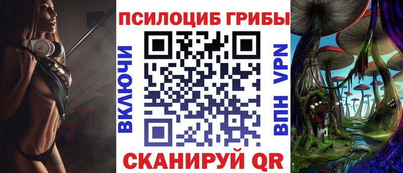 магазин  наркотиков  мега рабочий сайт  Галлюциногенные грибы Psilocybe  Бабушкин 